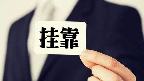 哪个省份挂靠价格高？